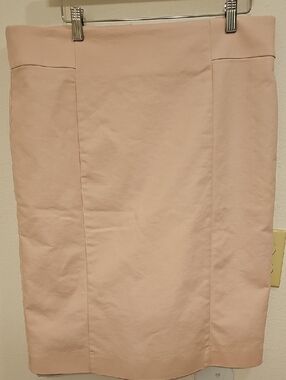 Ann Taylor Pencil Skirt